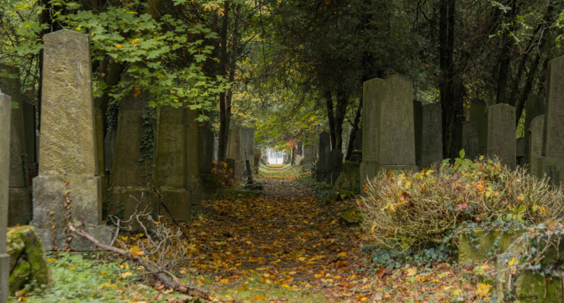 Zentralfriedhof Wien, Österreich