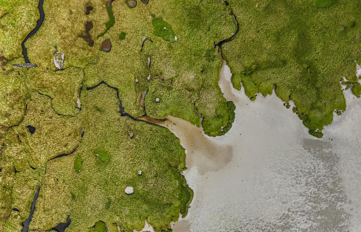 Strand und Moor von oben