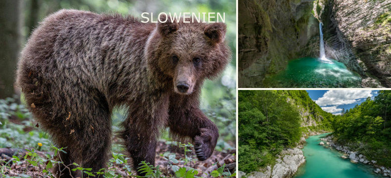 SLOWENIEN