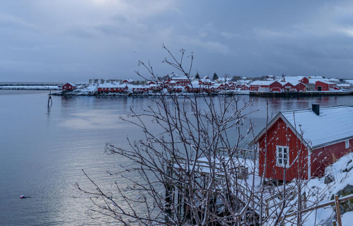 Reine