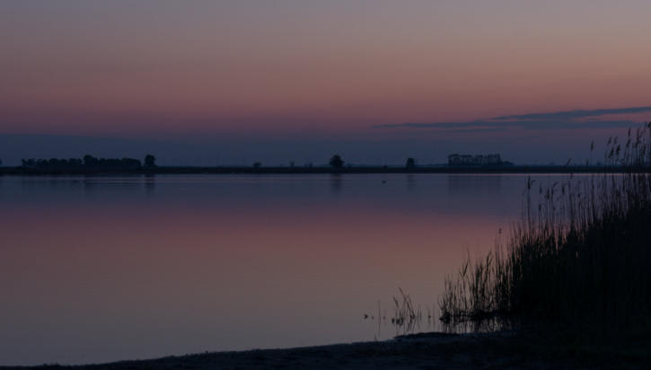 Morgendämmerung im Seewinkel