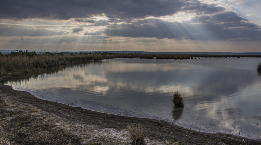 Neusiedlersee