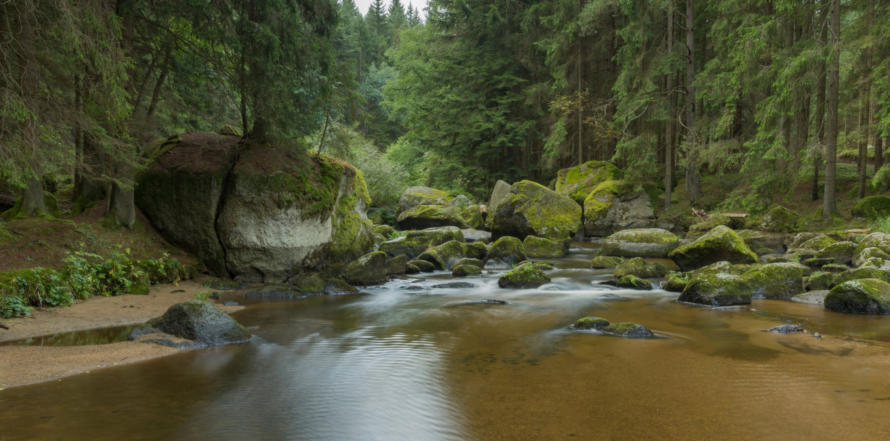 Kamptal