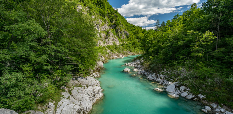 Fluss Soca