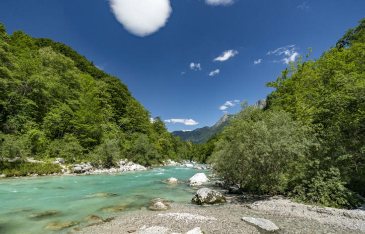 Fluss Soca