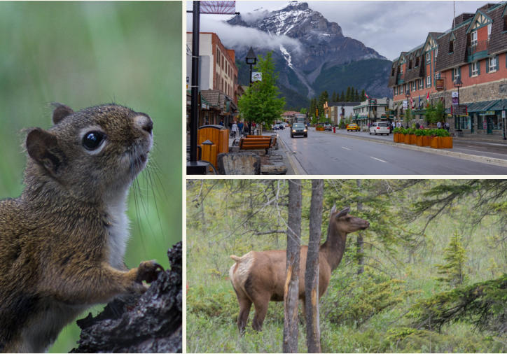 Banff