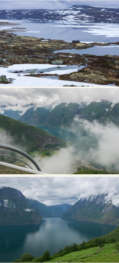 Hardangervidda & Sognefjord