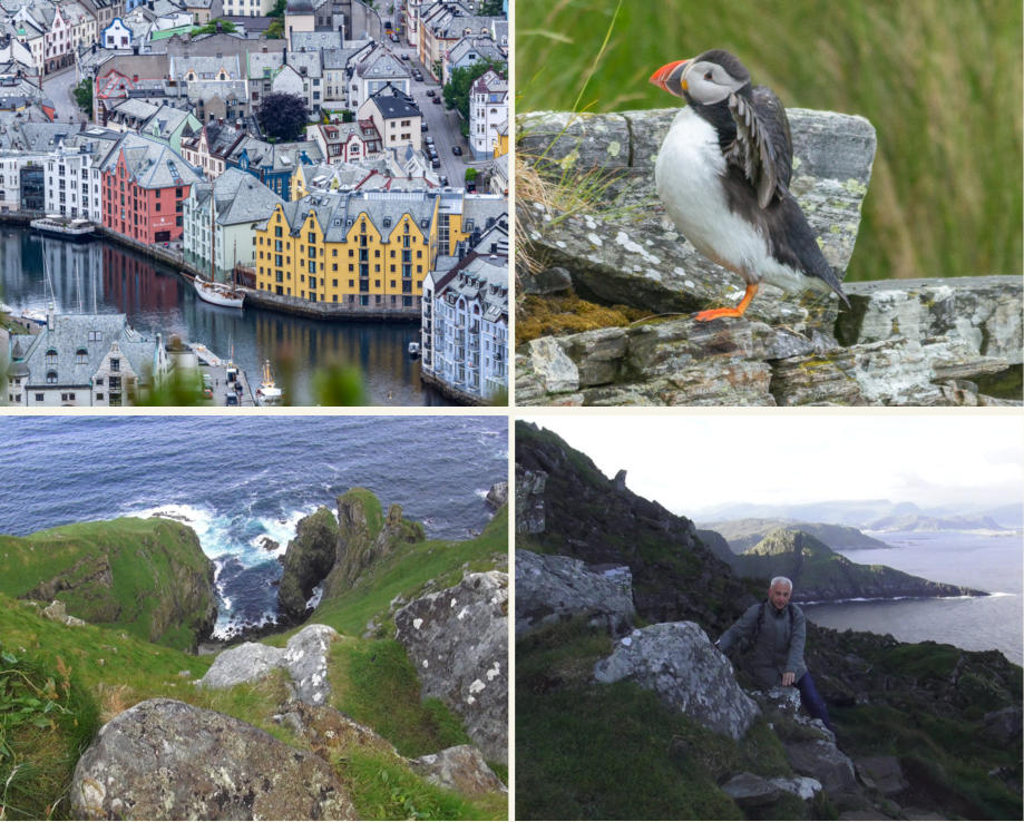 Alesund & Insel Runde