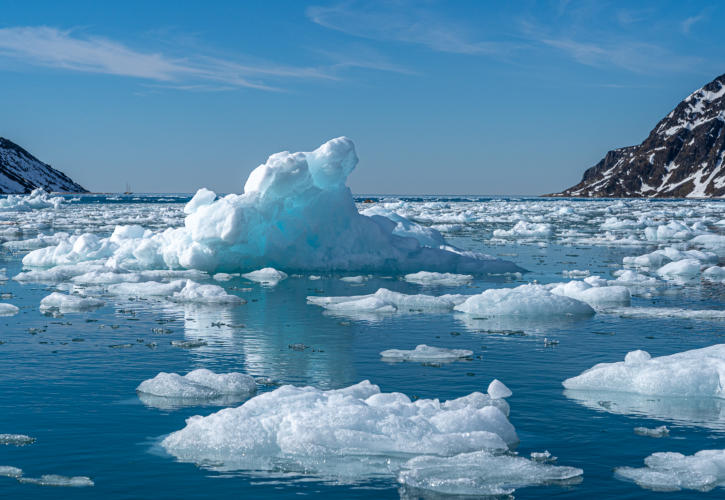 Eisschollen im Fuglefjord
