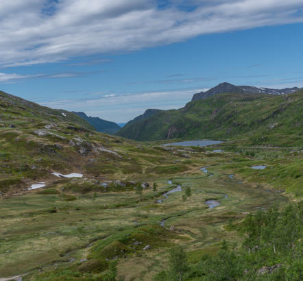 Straße nach Sifjord